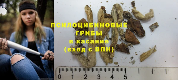 спиды Богородск