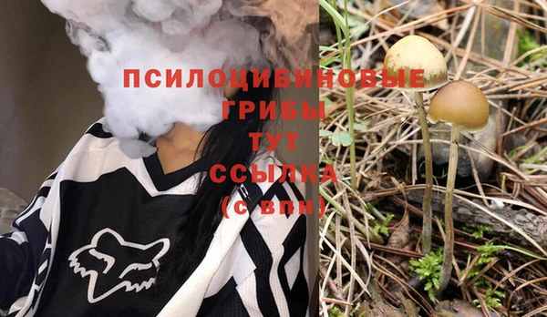 молекула духа Новый Уренгой