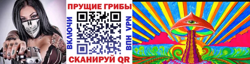 Псилоцибиновые грибы MAGIC MUSHROOMS цена наркотик Гатчина
